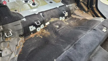 부산 정밀세차 중고차 BMW 528i 시공 / 부산 사상구