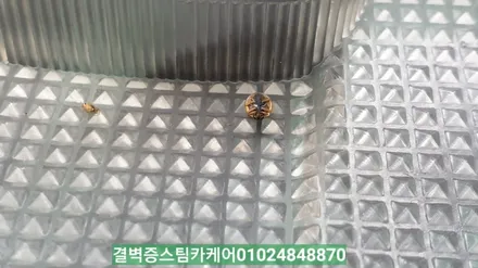부산실내크리닝 16년된 코란도중고차 새차만들기 / 부산 사상구 삼락동