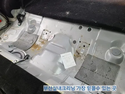 sm3 실내크리닝 반려견 개털 소변냄새 제거~ 왜 모두 꼭 이곳으로 갈까? / 부산 사상구 삼락동
