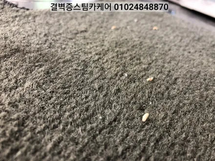 부산 실내세차 스파크에 우유를 쏟았을 뿐인데~ / 부산 사상구 삼락동