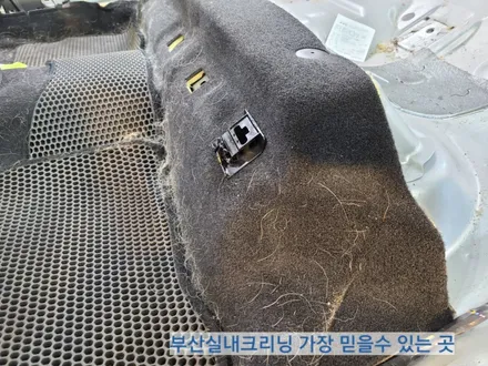 sm3 실내크리닝 반려견 개털 소변냄새 제거~ 왜 모두 꼭 이곳으로 갈까? / 부산 사상구 삼락동