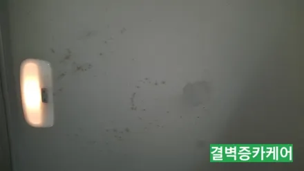 부산실내세차 하면 왜 다들 이곳일까? SM3 / 부산 사상구 삼락동