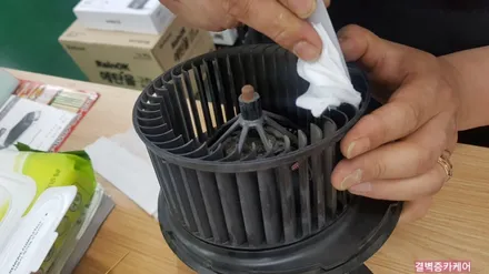 라떼커피 우유냄새제거 뉴비틀 실내크리닝 / 부산 사상구 삼락동