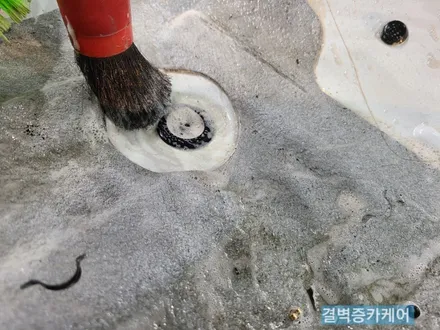 K3 자동차 곰팡이 내부 정밀세차 로 완벽 복원한 사례 / 부산 사상구 삼락동