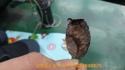 부산 에바크리닝 이곳처럼 꼼꼼한곳 없을거에요 로체이노베이션 / 부산 사상구 삼락동