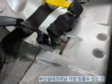sm3 실내크리닝 반려견 개털 소변냄새 제거~ 왜 모두 꼭 이곳으로 갈까? / 부산 사상구 삼락동