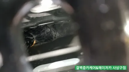 까나리액젓 간장 쏟은 트랙스 부산실내세차 중 가장 믿을수 있는 곳 / 부산 사상구 삼락동