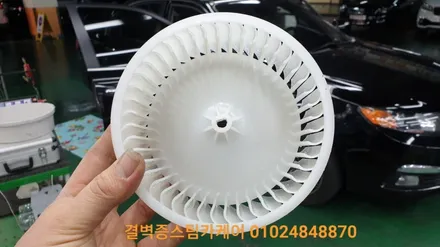 부산 에바크리닝 이곳처럼 꼼꼼한곳 없을거에요 로체이노베이션 / 부산 사상구 삼락동