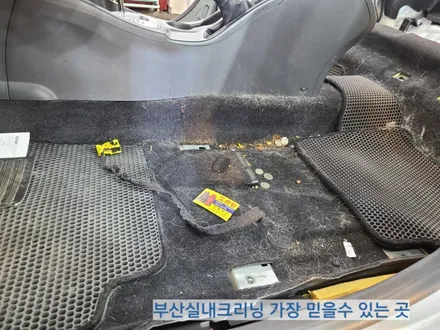 sm3 실내크리닝 반려견 개털 소변냄새 제거~ 왜 모두 꼭 이곳으로 갈까? / 부산 사상구 삼락동