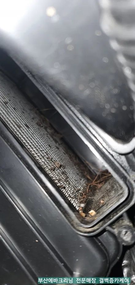 부산에바크리닝 검증된 곳은 sm7 이렇게 하네요 / 부산 사상구 삼락동