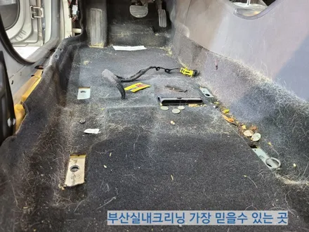 sm3 실내크리닝 반려견 개털 소변냄새 제거~ 왜 모두 꼭 이곳으로 갈까? / 부산 사상구 삼락동