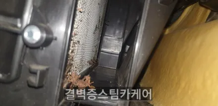 부산에바크리닝 업체 선택의 기준은? / 부산 사상구 삼락동