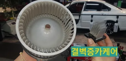 주부의 눈으로 본 로체이노베이션 진해에바크리닝 / 부산 사상구 삼락동