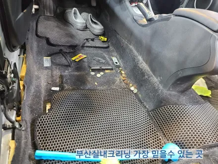 sm3 실내크리닝 반려견 개털 소변냄새 제거~ 왜 모두 꼭 이곳으로 갈까? / 부산 사상구 삼락동