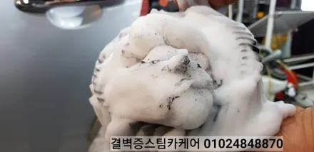 부산 내부세차도 역시 이 곳~! 로체이노베이션 / 부산 사상구 삼락동