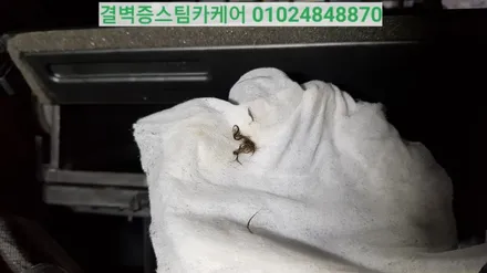 부산에바크리닝 마우스펜스 작업 최초시공 후기 쉐보레 트랙스 / 부산 사상구 삼락동