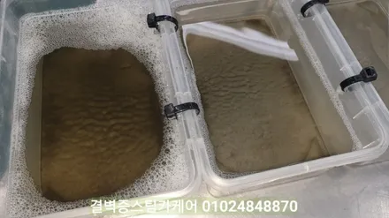 부산에바크리닝 클래스가 다른 전문매장에서 시공하세요 포터2 / 부산 사상구 삼락동