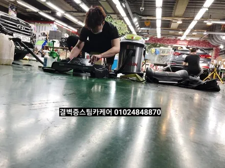 부산실내크리닝 애완견소변 여기만큼 꼼꼼한 곳 있을까요? SM7뉴아트 / 부산 사상구 삼락동