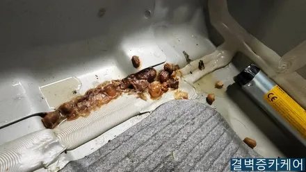 매주 콩 쏟았을때 기아 니로 실내크리닝 / 부산 사상구