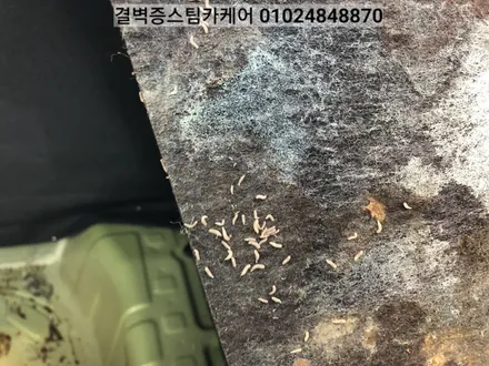 부산 실내세차 스파크에 우유를 쏟았을 뿐인데~ / 부산 사상구 삼락동