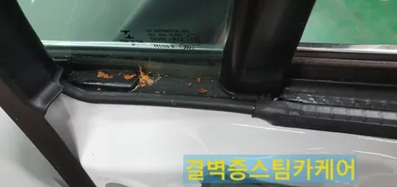 부산실내크리닝 토사물오염 결벽증스팀카케어 의 특별한 시공법[포르쉐 마칸] / 부산 사상구 삼락동