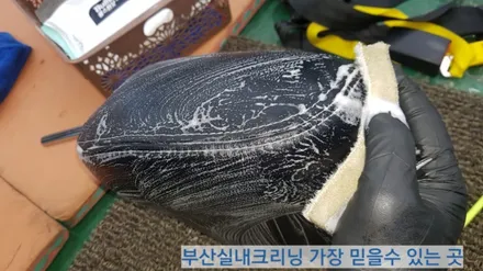 sm3 실내크리닝 반려견 개털 소변냄새 제거~ 왜 모두 꼭 이곳으로 갈까? / 부산 사상구 삼락동