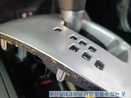 sm3 실내크리닝 반려견 개털 소변냄새 제거~ 왜 모두 꼭 이곳으로 갈까? / 부산 사상구 삼락동