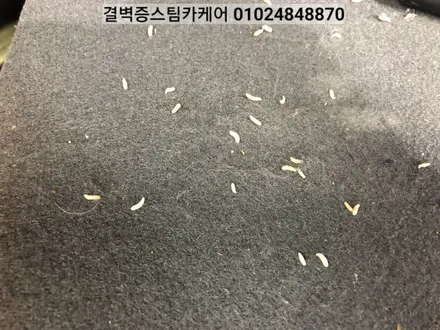 부산 실내세차 스파크에 우유를 쏟았을 뿐인데~ / 부산 사상구 삼락동