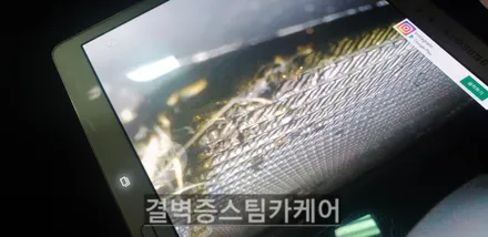부산에바크리닝 업체 선택의 기준은? / 부산 사상구 삼락동