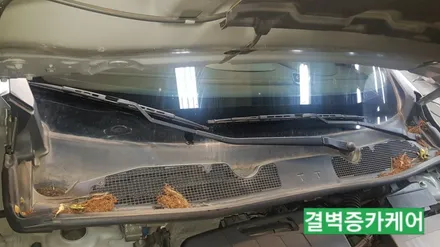 부산실내세차 하면 왜 다들 이곳일까? SM3 / 부산 사상구 삼락동