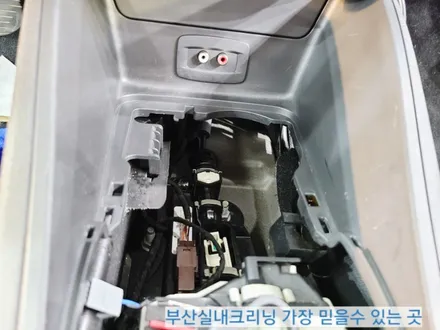 sm3 실내크리닝 반려견 개털 소변냄새 제거~ 왜 모두 꼭 이곳으로 갈까? / 부산 사상구 삼락동