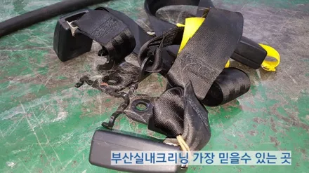 sm3 실내크리닝 반려견 개털 소변냄새 제거~ 왜 모두 꼭 이곳으로 갈까? / 부산 사상구 삼락동