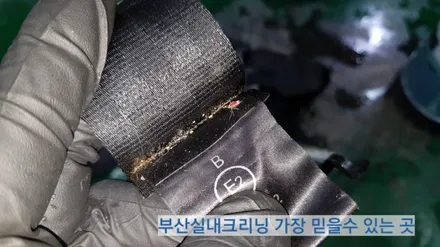 sm3 실내크리닝 반려견 개털 소변냄새 제거~ 왜 모두 꼭 이곳으로 갈까? / 부산 사상구 삼락동