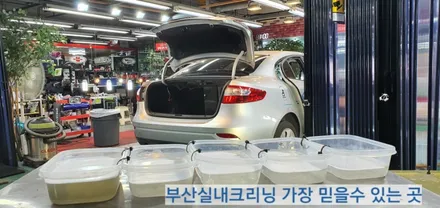 sm3 실내크리닝 반려견 개털 소변냄새 제거~ 왜 모두 꼭 이곳으로 갈까? / 부산 사상구 삼락동