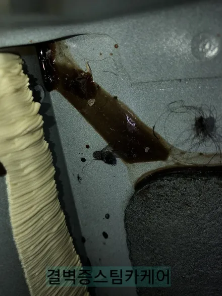 부산실내크리닝 커피 쏟았을때 어디로 가야할지 고민해결 / 부산 사상구 삼락동