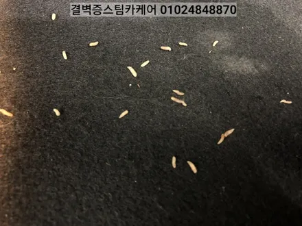 부산 실내세차 스파크에 우유를 쏟았을 뿐인데~ / 부산 사상구 삼락동