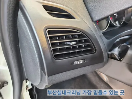 sm3 실내크리닝 반려견 개털 소변냄새 제거~ 왜 모두 꼭 이곳으로 갈까? / 부산 사상구 삼락동