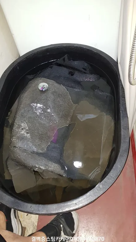 완벽한 부산 수입차량 실내크리닝 과 에바크리닝 푸조207rc / 부산 사상구 삼락동