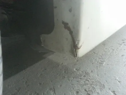 부산 수입차량 판금 도색 믿고 맡기세요 프리우스 / 부산 사상구 삼락동