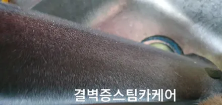 부산실내크리닝 토사물오염 결벽증스팀카케어 의 특별한 시공법[포르쉐 마칸] / 부산 사상구 삼락동