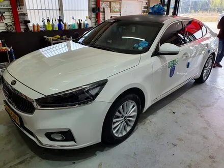 루프스킨 제거.