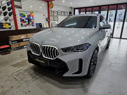 bmw x6 lci 그릴랩핑, 미러커버.