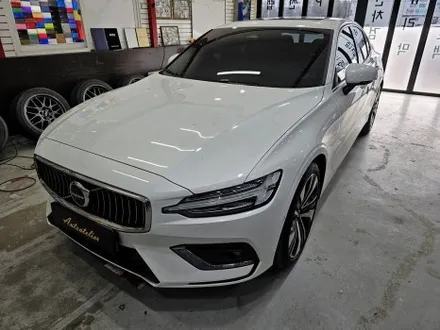 양주 포천 랩핑 볼보 v60 루프스킨과 도어핸들 부분 카스킨.