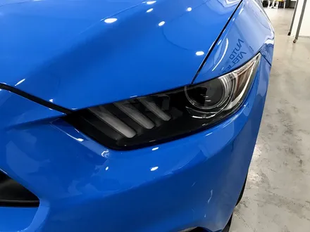 포드 머스탱 5.0(Mustang V8) 생활보호패키지 PPF / 라미넥스라이트필름 부착 - by 의정부 오토아틀리에, 의정부PPF, 의정부랩핑, 의정부카스킨