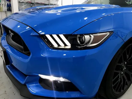 포드 머스탱 5.0(Mustang V8) 생활보호패키지 PPF / 라미넥스라이트필름 부착 - by 의정부 오토아틀리에, 의정부PPF, 의정부랩핑, 의정부카스킨