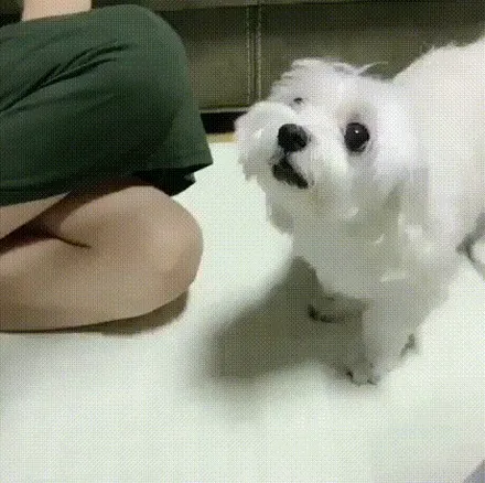 BENZ 컨버터블 | 미러카본랩핑 by 의정부 오토아틀리에, 의정부 루프스킨, 의정부 랩핑, 의정부 카스킨, e클래스 미러 카본랩핑