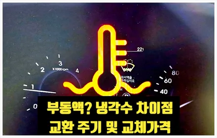 자동차 냉각수 부동액 차이점, 교체 교환 주기 및 비용 가격까지 총정리 / 부산 해운대