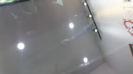 부산 자동차 유리기스, 수세미 기스 제거 깔끔하게 해결 / 부산 해운대