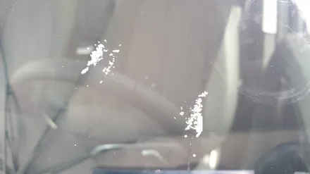 범어 증산 물금 자동차 유리복원 전문 기술자에게 출장 수리받기 / 부산 해운대