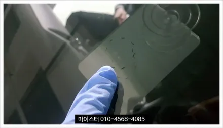 양산, 김해자동차유리복원(용접) 전문시공점 마이스터 / 부산 해운대
